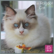 Cute Ragdoll Cat 2022 Calendar