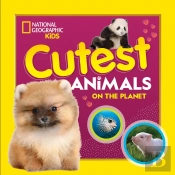Cutest Animals On The Planet