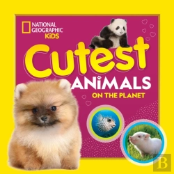 Bertrand.pt - Cutest Animals On The Planet