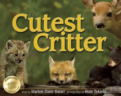 Bertrand.pt - Cutest Critter