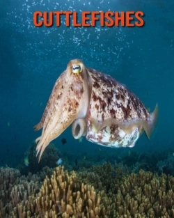 Bertrand.pt - Cuttlefishes
