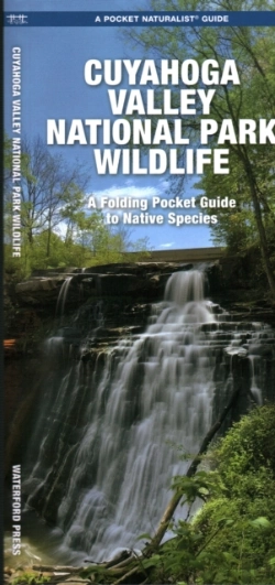 Bertrand.pt - Cuyahoga Valley National Park Wildlife