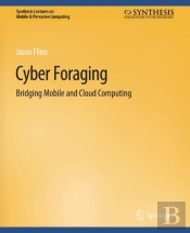 Cyber Foraging