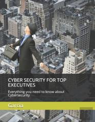 Cyber Security For Top Executives