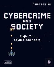 Cybercrime And Society