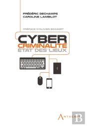 Cybercriminalite : Etat Des Lieux