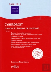 Cyberdroit 2015/2016 ; Le Droit À L'Épreuve De L'Internet  (7e Édition)