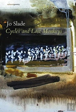 Bertrand.pt - Cycles And Lost Monkeys