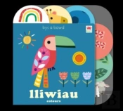 Cyfres Bys A Bawd: Lliwiau / Colours