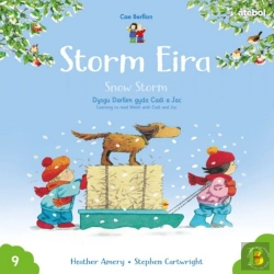 Bertrand.pt - Cyfres Cae Berllan: Storm Eira / Snow Storm