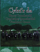 Cyfri'R Da