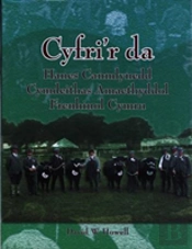 Cyfri'R Da