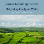 Cymru Dafydd Ap Gwilym - Cerddi A Lleoedd / Dafydd Ap Gwilym'S Wales - Poems And Places