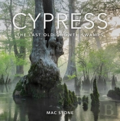 Cypress