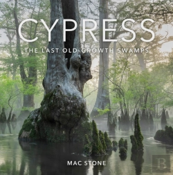 Bertrand.pt - Cypress