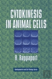 Cytokinesis In Animal Cells