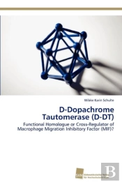 D-Dopachrome Tautomerase (D-Dt)