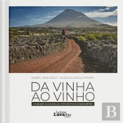 Da Vinha ao Vinho