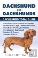 Dachshund And Dachshunds