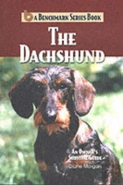 Dachshund