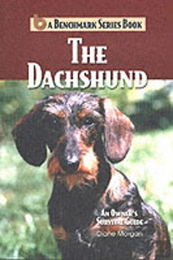 Bertrand.pt - Dachshund