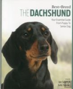 Bertrand.pt - Dachshund