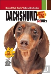 Dachshund
