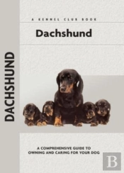 Dachshund