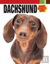 Dachshund