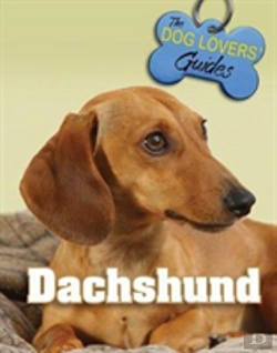 Bertrand.pt - Dachshund