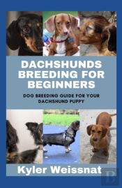 Dachshunds Breeding For Beginners