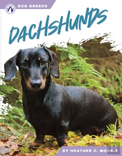 Bertrand.pt - Dachshunds