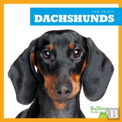 Bertrand.pt - Dachshunds