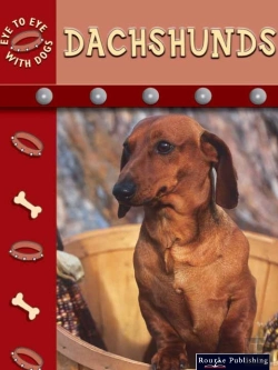 Bertrand.pt - Dachshunds
