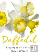 Daffodil