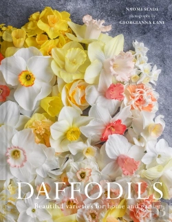 Bertrand.pt - Daffodils