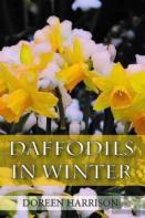Daffodils In Winter