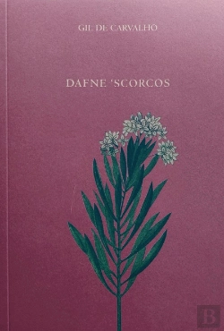 Bertrand.pt - Dafne Scorcos