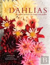 Dahlias