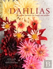 Dahlias
