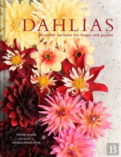 Bertrand.pt - Dahlias