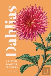 Dahlias