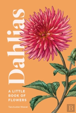 Bertrand.pt - Dahlias