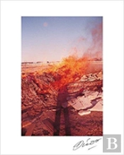 Daido Moriyama In Color: Self-Portrait