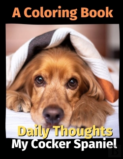 Bertrand.pt - Daily Thoughts