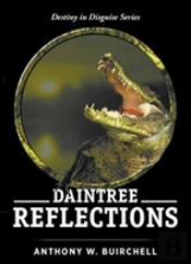 Daintree Reflections