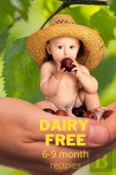 Dairy Free Recipes 6-9 Months