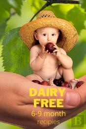 Dairy Free Recipes 6-9 Months