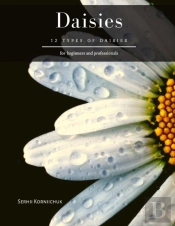Daisies