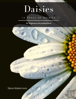 Bertrand.pt - Daisies